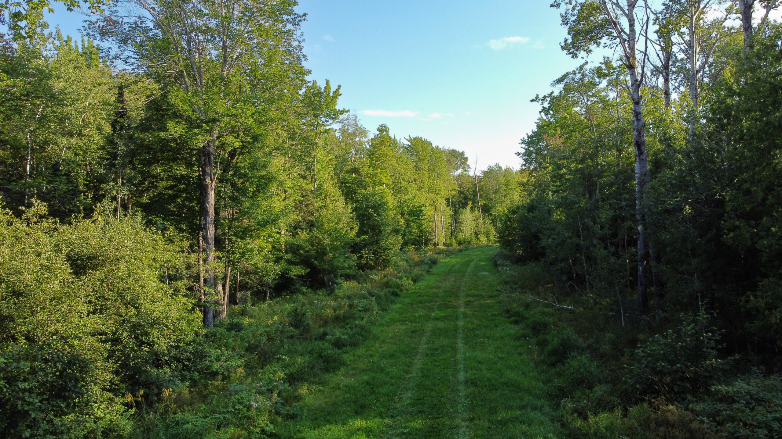 Aerial view of Romans Point Road acreage